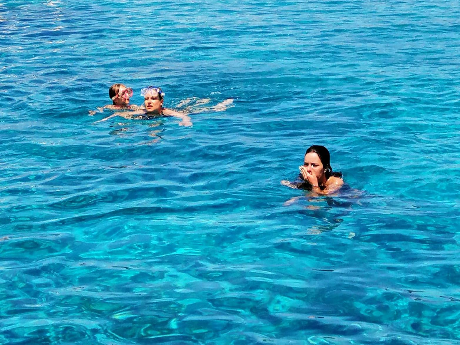 Attractive Golden Horn is a Croatian snorkeling paradise