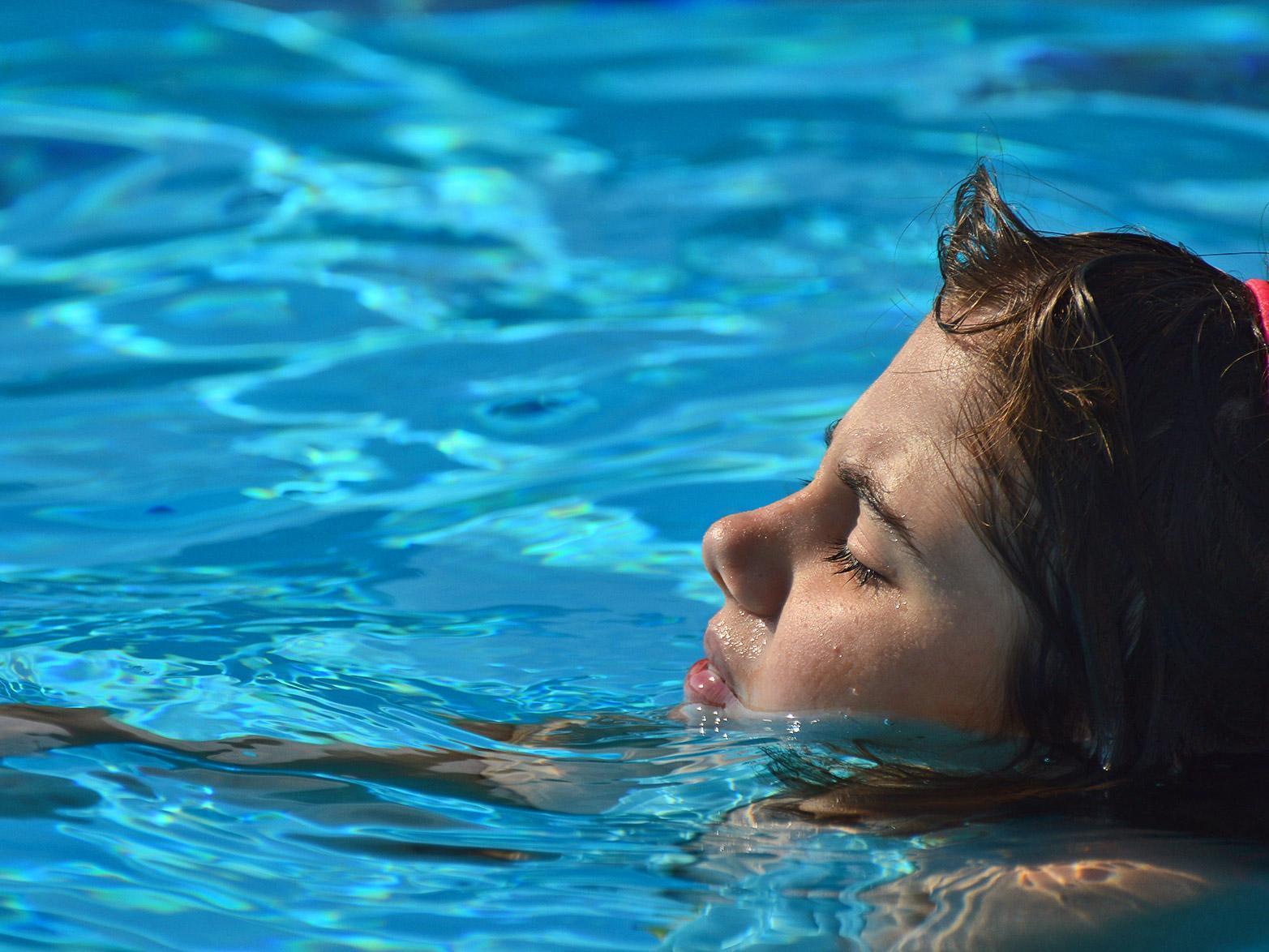 Guests enoy Pakleni islands by swimming with Blue Shark from Split