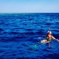 Private Bootstour Blaue Lagune und Trogir Von Split
